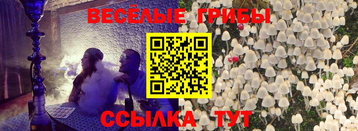 Галлюциногенные грибы мицелий  магазин  наркотиков  Иваново  Вход с VPN  Псилоцибиновые грибы ЛСД 