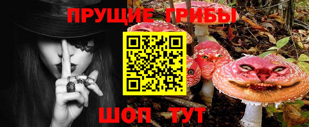 Галлюциногенные грибы Psilocybine cubensis Иваново